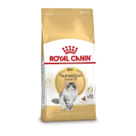 Royal Canin Norwegian Forest Cat Adult crocchette 2 kg