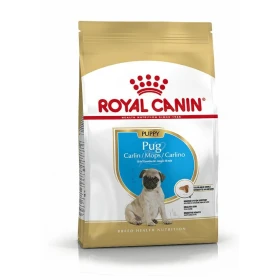Royal Canin Pug Puppy per cuccioli di Carlino