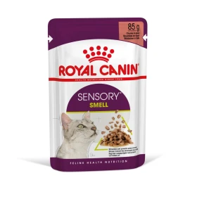 Royal Canin Sensory Smell Cat Gravy - Buste per gatti 12 x 85 g