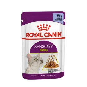 Royal Canin Sensory Smell Jelly per Gatto, 12x85 g