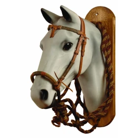 Set bosal, mecate e testiera Rawhide Pool's
