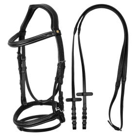 Testiera anatomica rialzata imbottita Equestro