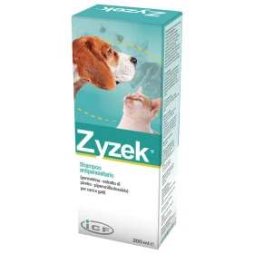 Zyzek Shampoo 5L - ICF;GAANTI