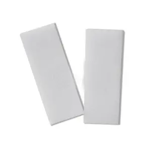 Askoll Spugna in Poliestere di ricambio per Filtro Interno Acquaranger 3