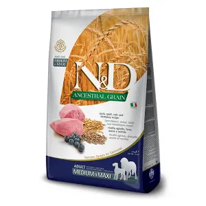 N&D Farmina Ancestral Adult Medium - Maxi all'Agnello e Mirtilli