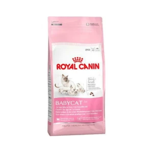 Royal Canin Babycat 2 kg - Mangime secco per gattini