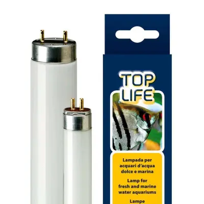 Neon acquario dolce Toplife, 15w, T8, 5000 ° K, Effetto Solare - Ferplast