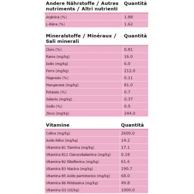 Royal Canin Mother & Babycat - secco 400 gr