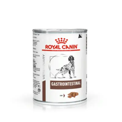 Royal Canin Veterinary diet Gastrointestinal umido Morbido Patè cane