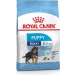 Royal Canin Maxi Puppy 4 kg - Mangime secco per cuccioli - Thumbnail 1