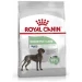 Royal Canin Maxi Digestive Care Cane - Crocchette 3 kg - Thumbnail 1