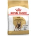 Royal Canin Bulldog Francese 3 kg - Thumbnail 1