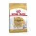 Royal Canin Chihuahua Mangime Secco 1,5 kg - Thumbnail 1