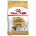 Royal Canin Cavalier King crocchette cane 3 kg - Thumbnail 1