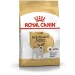 Royal Canin Jack Russell 3 kg - Crocchette per cani - Thumbnail 1