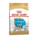 Royal Canin Chihuahua Puppy 500 g - Mangime secco per cuccioli - Thumbnail 1