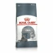 Royal Canin Dental Care Cat - Alimento secco per gatti 1,5 kg - Thumbnail 1
