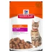 Hill's Cat Buste Mantenimento al Manzo 12 x 85 g - Thumbnail 1