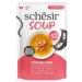 Agras Schesir Cat Soup Salmone/Carote 12 x 40 g - Thumbnail 1