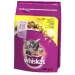 Whiskas Junior Crocchette per Gattini al Pollo 300 g - Thumbnail 1
