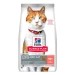 Hill's Cat Sterilized al Salmone 300 g - Thumbnail 1