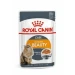 Royal Canin Hair & Skin in Gelatina per Gatto - 12 x 85 g - Thumbnail 1