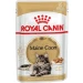 Royal Canin Maine Coon umido per gatto 12 buste da 85 g - Thumbnail 1