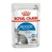 Royal Canin Indoor Jelly - Buste 12 x 85 g - Thumbnail 1