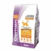 Monge Gemon Cat AD Complete Pollo e Tacchino 400 g - Thumbnail 1