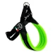 Pettorina Easy Fit Neon Regolabile 1 Verde - TREPONTI - Thumbnail 1