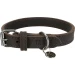 Collare Rustic M Grigio - TRIXIE (37/44 cm) - Thumbnail 1