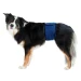 Fascia Igienica per Cani Maschi TG S/M Blu Scuro - Trixie - Thumbnail 1