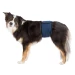 Fascia Igienica per Cani Maschi TG XL Blu Scuro - Trixie - Thumbnail 1