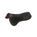 Acavallo Compensatore Withers Free in Memory Foam e Camoscio con Gel Hexagonal - Rialzo Anteriore
