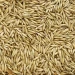 Avena Rossa per Animali - Foto 3