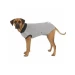 Body protettivo per cani - Thumbnail 2