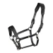 Cavezza in cuoio con piping glitterato - Equestro