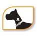 Collare Strangolo Chrome Cs1730 In Acciaio - Per Cane - Foto 2