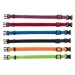 Trixie Collare Cuccioli M/L - confezione 6 pezzi 22-35 cm