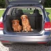 Divisorio auto per cani Trixie montato nel bagagliaio con due cani