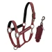 Equestro Cavezza Shiny Fittings imbottita con lunghina