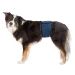 Fascia Igienica per Cani Maschi TG Scuro - Trixie - Thumbnail 2