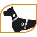 Pettorina con guinzaglio Jogging roditori e gatti - Ferplast - Foto 3
