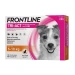 Frontline Tri-Act Cani taglia Piccola da  5 a 10 Kg - 3 Pipette