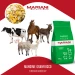 Mangime Fioccato Misto 4P Granfiocco - Mangimi Mariani - Foto 4