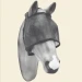 Maschera Antimosche - AmaHorse - Foto 7