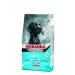 Morando Prof Dog Pollo - Mangime secco cane 4 kg
