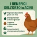 Orzo intero in acini per Polli e Galline - Foto 5