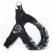 Pettorina Easy Fit Neon Regolabile 1 Mimetica - TREPONTI