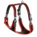 Pettorina Ergocomfort Linear - Ferplast - Rosso / Large